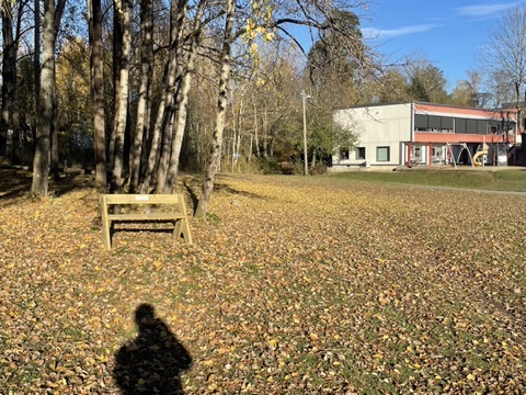 Artikkelbilde til artikkelen Test